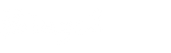 Bingz